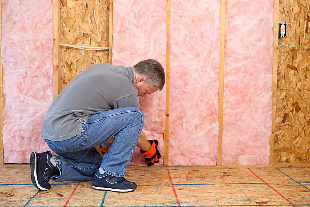 Best Cellulose Insulation in Shell Valley, ND