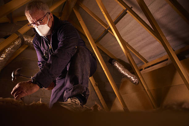 Best Eco-Friendly Insulation in Shell Valley, ND